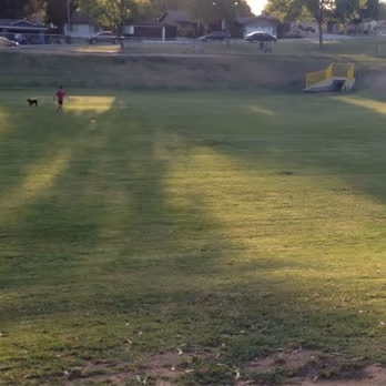 University Dog Park photo 2